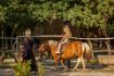 Picture of Sanc. Michael Medieval Theme Park