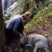 Picture of Prodan Tartufi – Truffle Hunting in the Heart of Istria (6 persons)