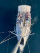 Picture of Day Sailing Istria – Sailing from Trget